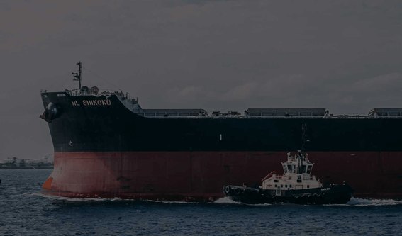 A container ship berthed at a port terminal